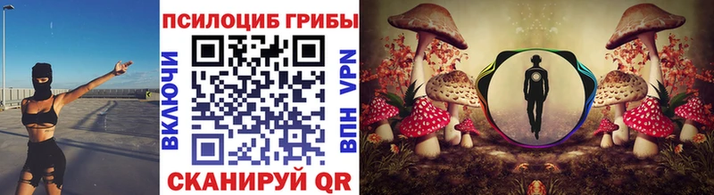 купить   Кизел  Псилоцибиновые грибы прущие грибы 
